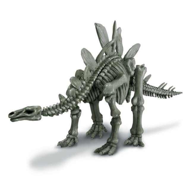 Ανασκαφή Σκελετού Δεινόσαυρου, Στεγόσαυρος 4M0010 4m toys