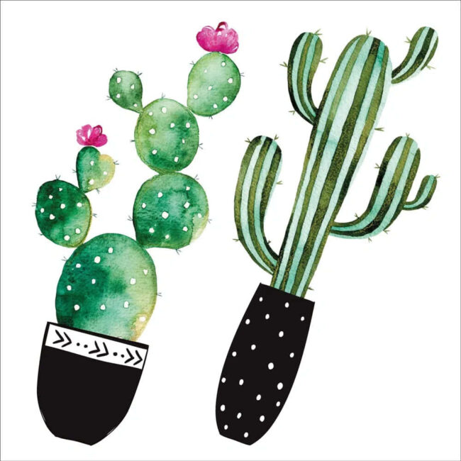 Αυτοκόλλητα Τοίχου Βινυλίου Watercolour Cactus 72 x 58 cm Ango 54114