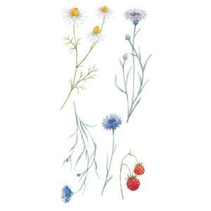 Αυτοκόλλητα Τοίχου Βινυλίου Field Flowers 45 x 35 cm Ango 59178