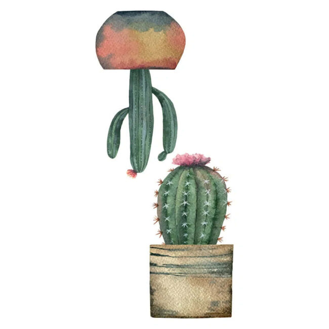 Αυτοκόλλητα Βινυλίου Για Τζάμι Διπλής Όψης Cactus 34 x 15,5 cm Ango 69001